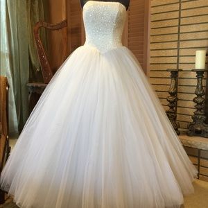 Gorgeous wedding/ball gown